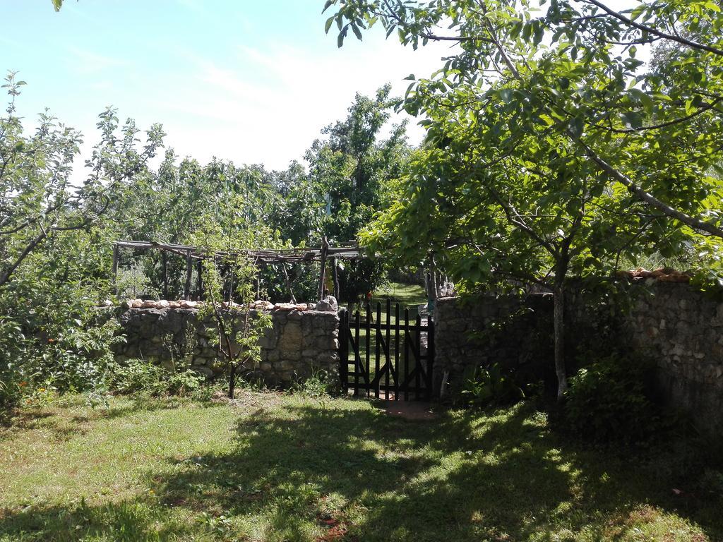Apartments Hatic Drenje  Εξωτερικό φωτογραφία